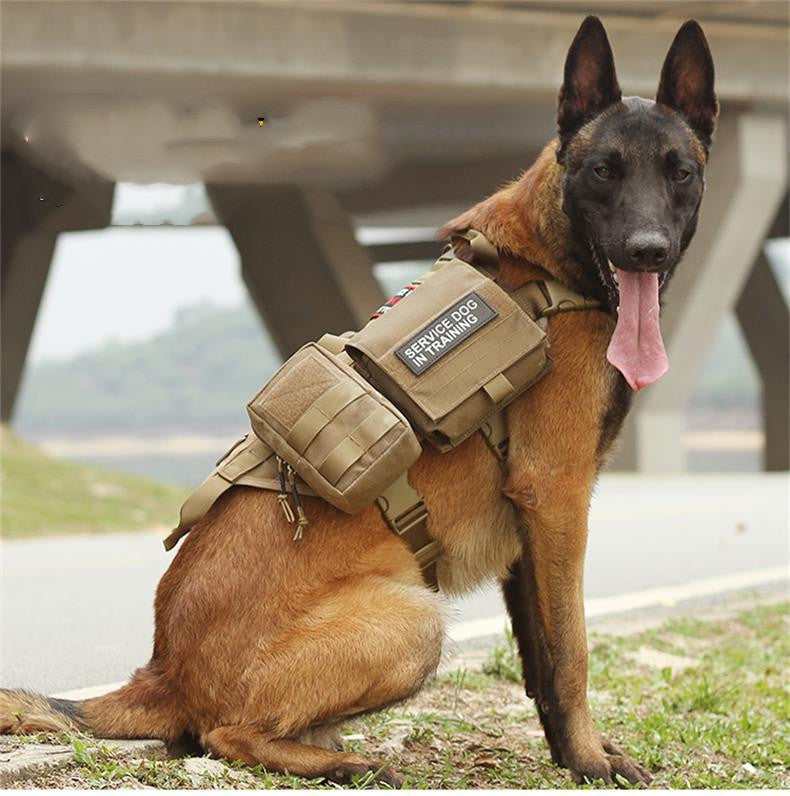 Military Dog Harness